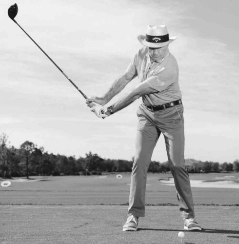 David Leadbetter Wiki