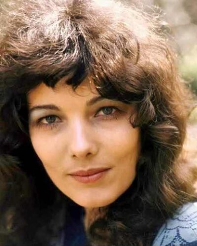 Willeke Van Ammelrooy