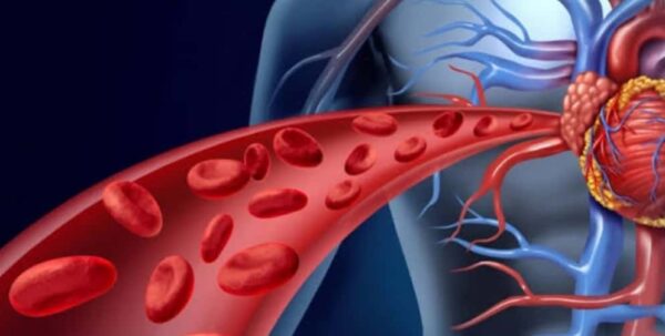 Blood Thinning