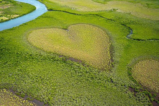 Remote Places