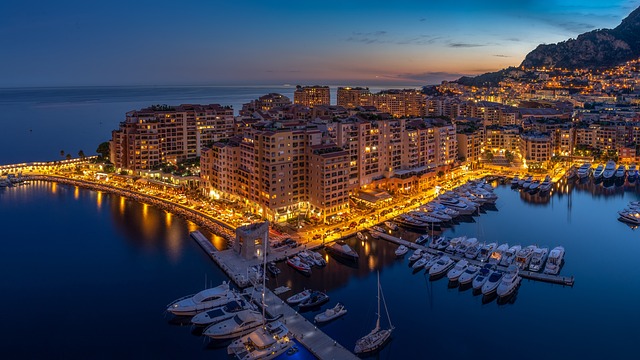 The Monaco